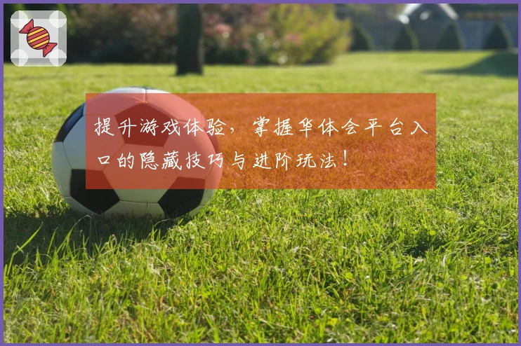 提升游戏体验，掌握华体会平台入口的隐藏技巧与进阶玩法！