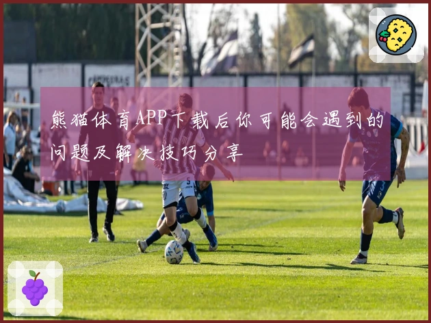 熊猫体育APP下载后你可能会遇到的问题及解决技巧分享