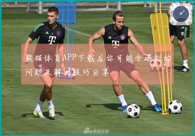 熊猫体育APP下载后你可能会遇到的问题及解决技巧分享